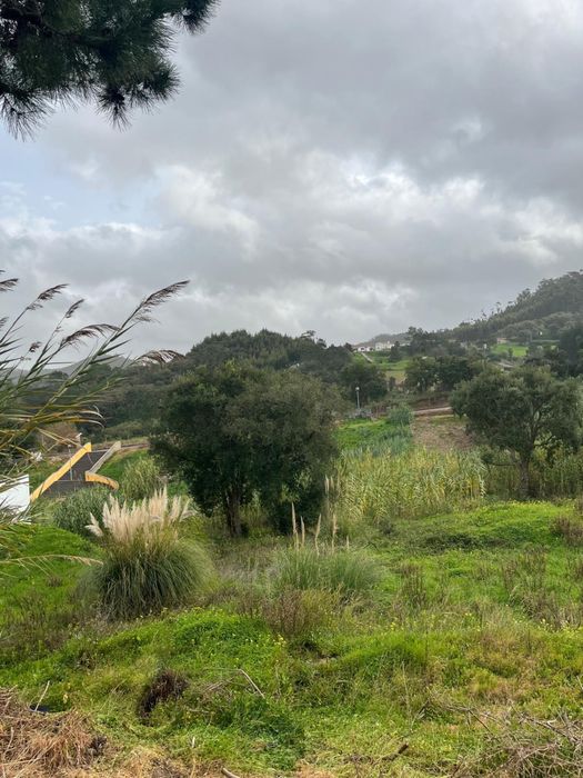 Terreno Urbano carapiteira Mafra (Gradil)