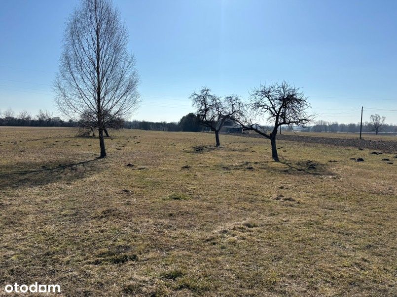 Działka z linią brzegową nad Bugiem w Bojanach, gmina Brok - Widok 5