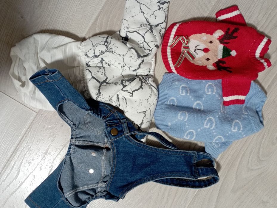 Пакет речей для малого песика