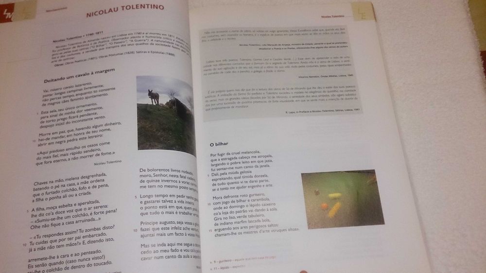 dimensão literária e comunicativa - português a e b 11º ano