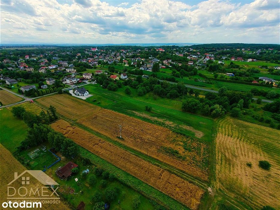 Zdjęcie 5