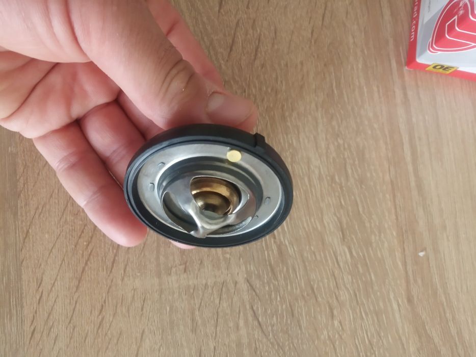 Термостат рабочий.