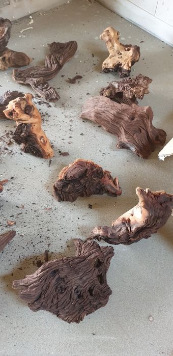 Korzeń akwarystyczny terrarium mangrowiec