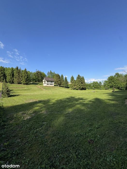 Wyjątkowy dom przy lesie | 65 arów prywatnej działki