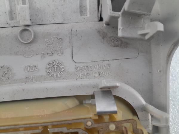 Plafonier frente PEUGEOT 3008 I (0U_)