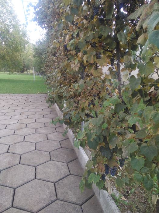 Продається будинок.Закарпатська обл.Тячівський р—н.,село Вільхівці.