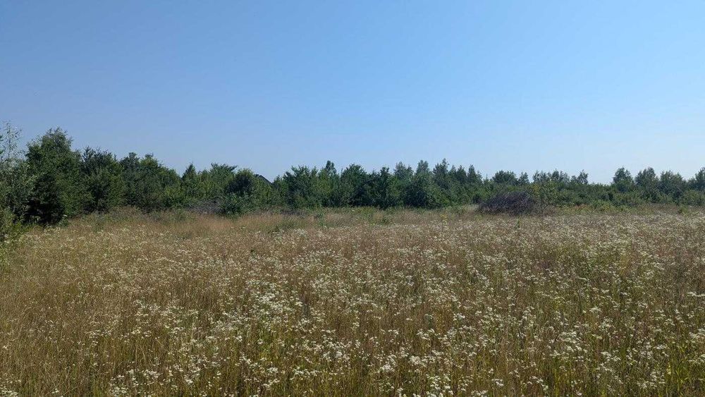 Земельна ділянка під забудову в с.Березівка(12)