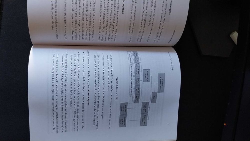 Livro de Gestão