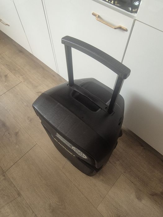 Głośnik Blaupunkt PA 15