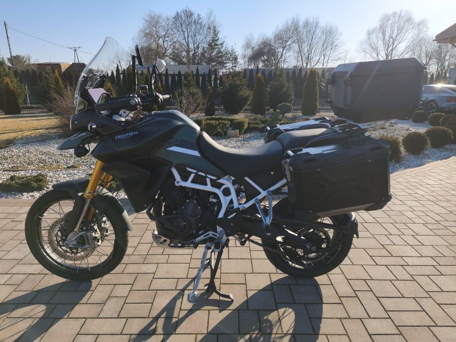 Tiger Triumph 900