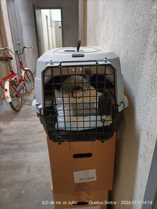 Gateira com pouco uso