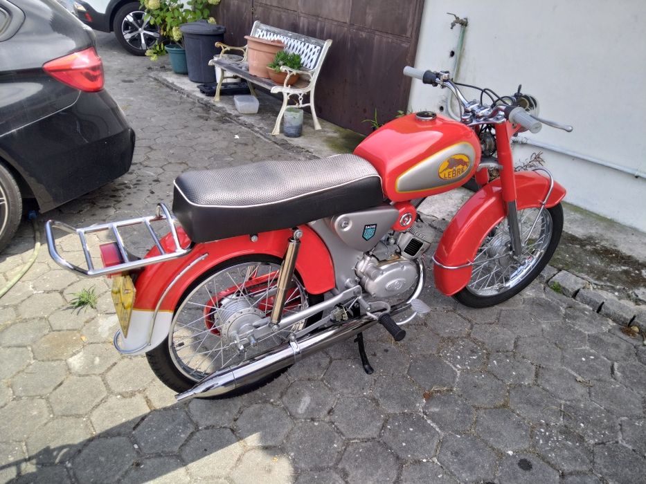Sachs lebre 1972