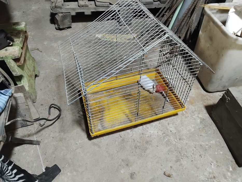 Клітка для хом'яка