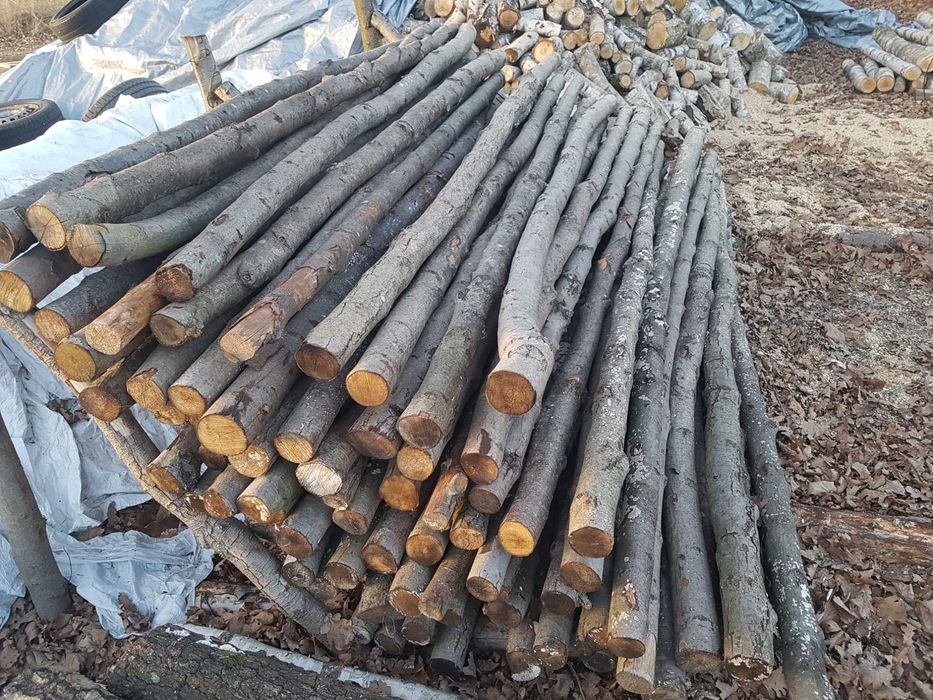 Stemple Budowlane 2.40m Średnica 7-9 cm Sosna Olcha