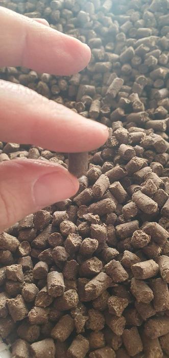 Гранульований курячий послід добрива, підвищені показники NPK