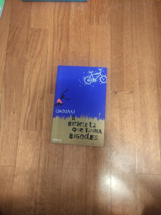 A Bicicleta Que Tinha Bigodes