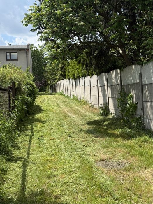 Koszenie działek i nieużytków