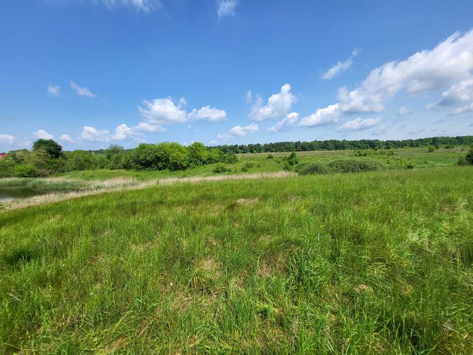 Ділянка 30 сот. Прямий вихід до озера