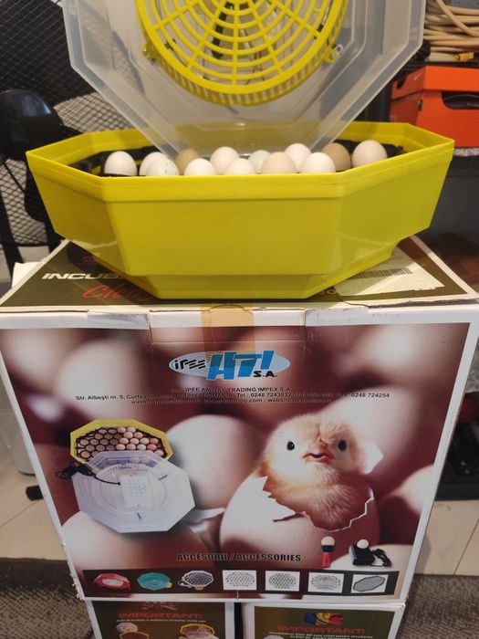 Chocadeira semi-automática