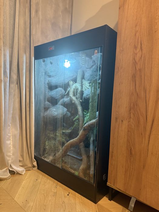 Terrarium dla agamy blotnej ,legwana