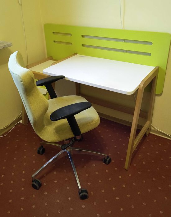 Biurko Timoore Simple zielone, mocne, z drewna bukowego, stan b. dobry