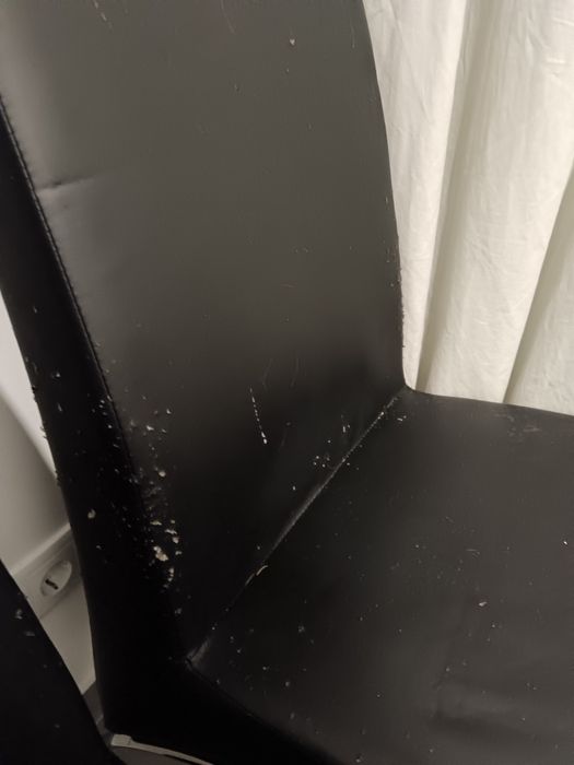 Cadeiras de sala cor preta  em napa