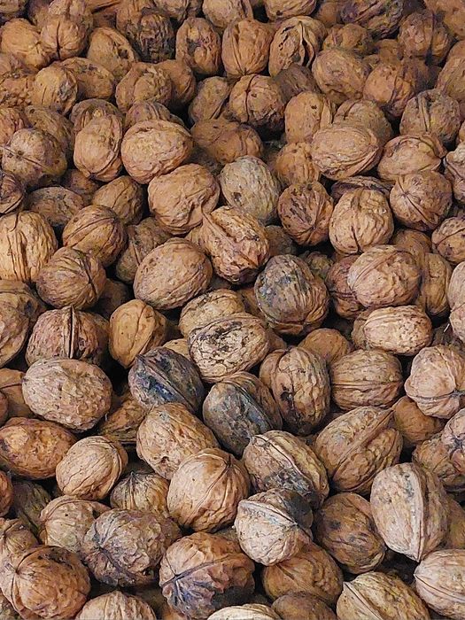 Nozes com casca _ 2,5€ / kg