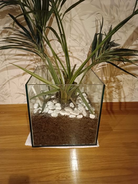 vaso quadrado de vidro com planta artificial