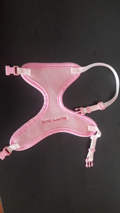 szelki dla malego psa