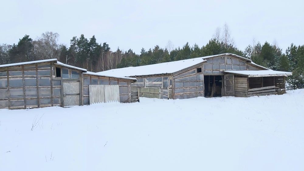 Продам  свиноферму у ліса +10 Га землі,  20 км від Чернігова.