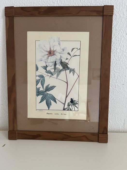 Quadros diversos - a partir de 4€