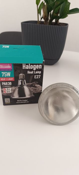 Kit Completo Terrário Répteis Arcadia UVB 90 cm + Repashy + Exo Terra