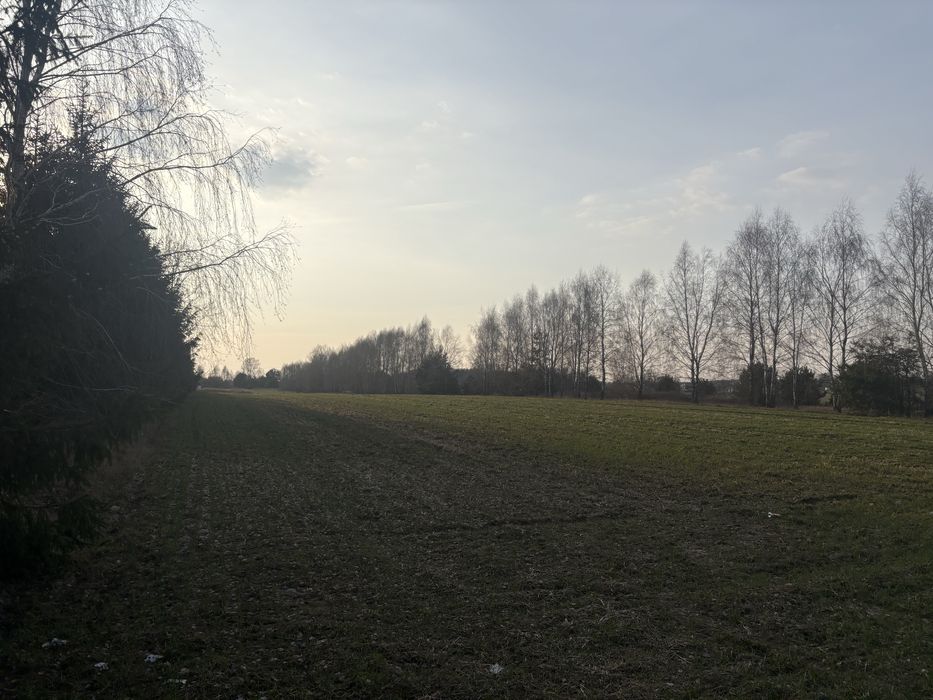 Dzialka budowlana Przywory Duże 2643 m² - Widok 3