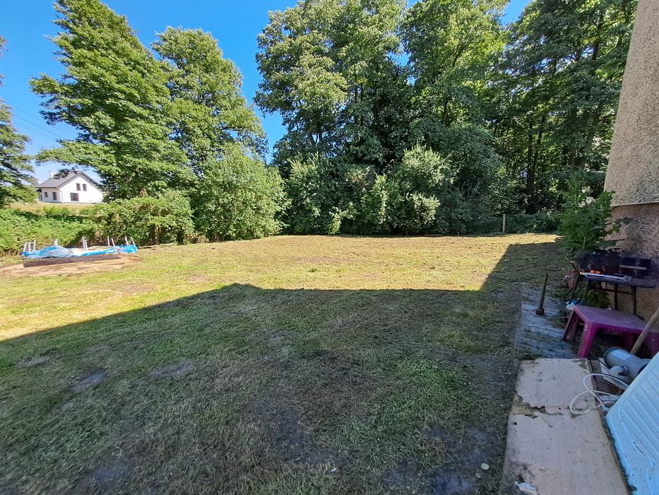 Wycinka drzew usługi rębakiem