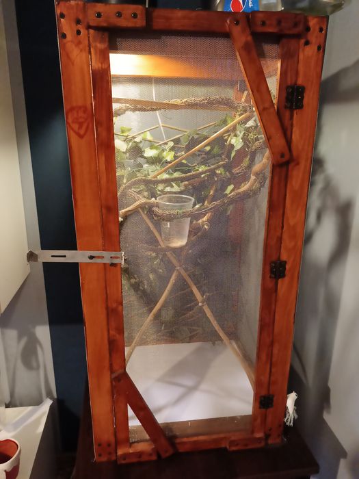 Terrarium dla kameleona gekona  węża jaszczurki