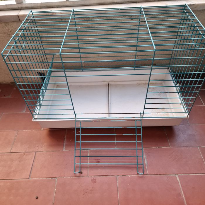 Gaiola para coelho anão