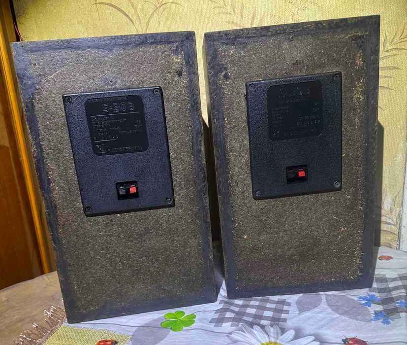Колонки Акустика Radiotehnika S30-B