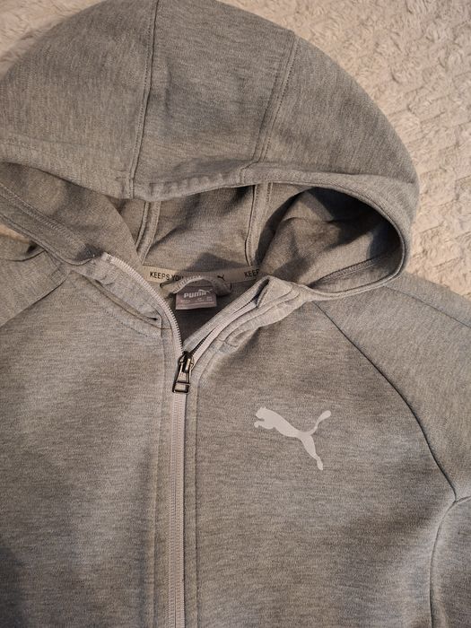 Bluza chłopięca  puma