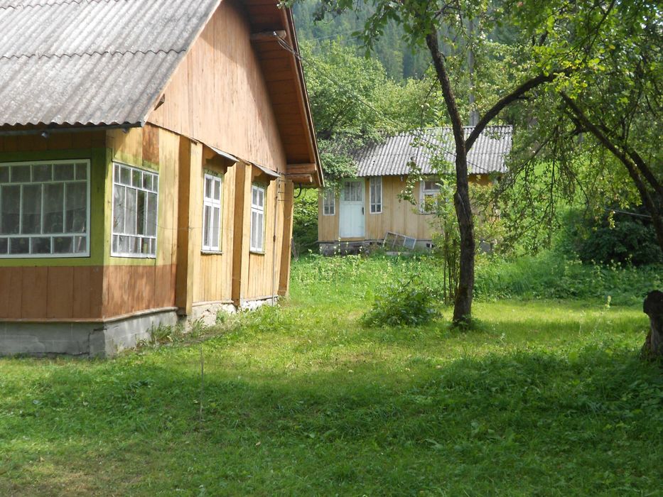 Житловий будинок та земельна ділянка 55,3 сот. с.Козьова