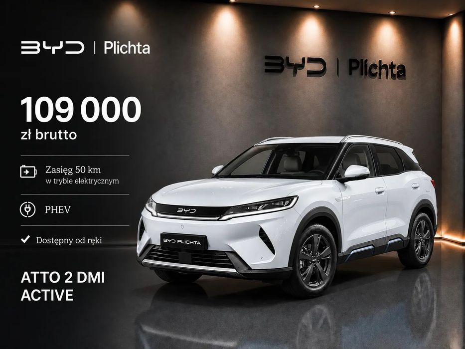 BYD Pozostałe BYD