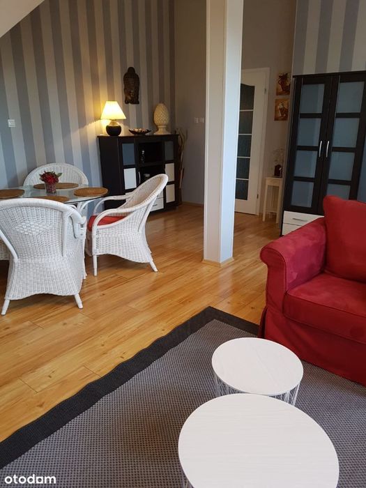 OKAZJA 70 m²/ klimatyczne mieszkanie w kamienicy - Widok 4