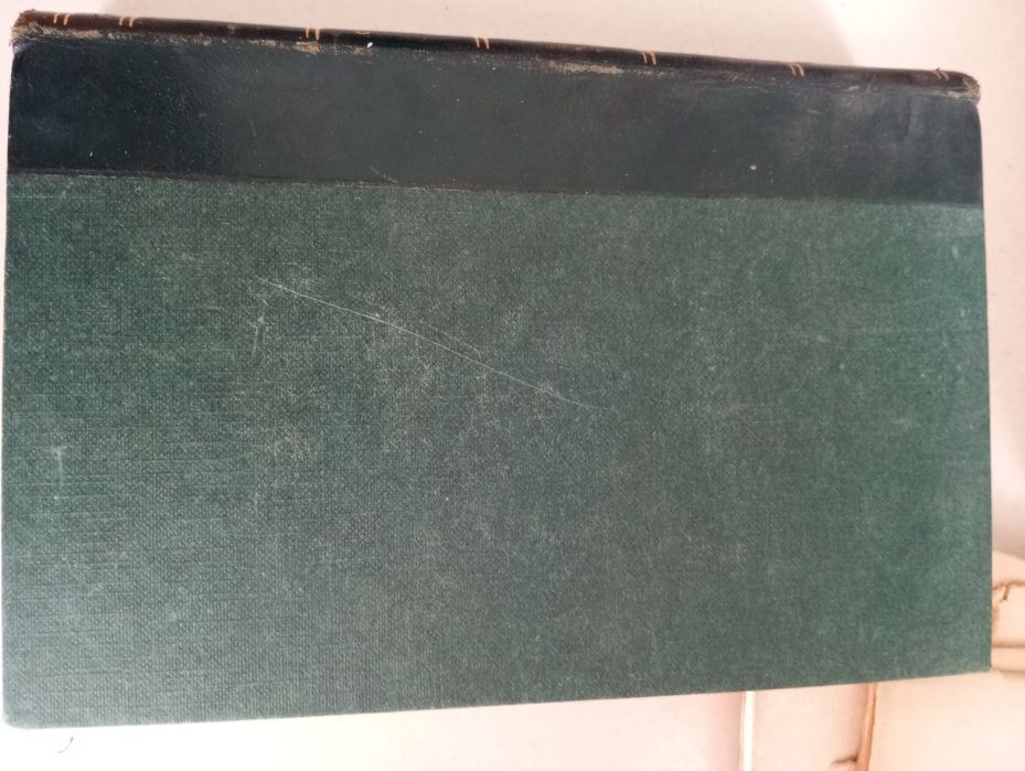 Joaquim Paço d' Arcos - Tons verdes em fundo escuro