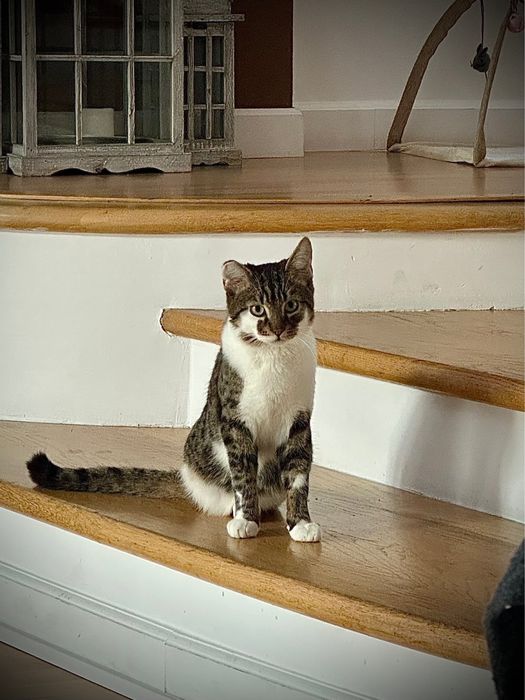 Kochany Lufcik zwany Statywem ma trzy łapki…