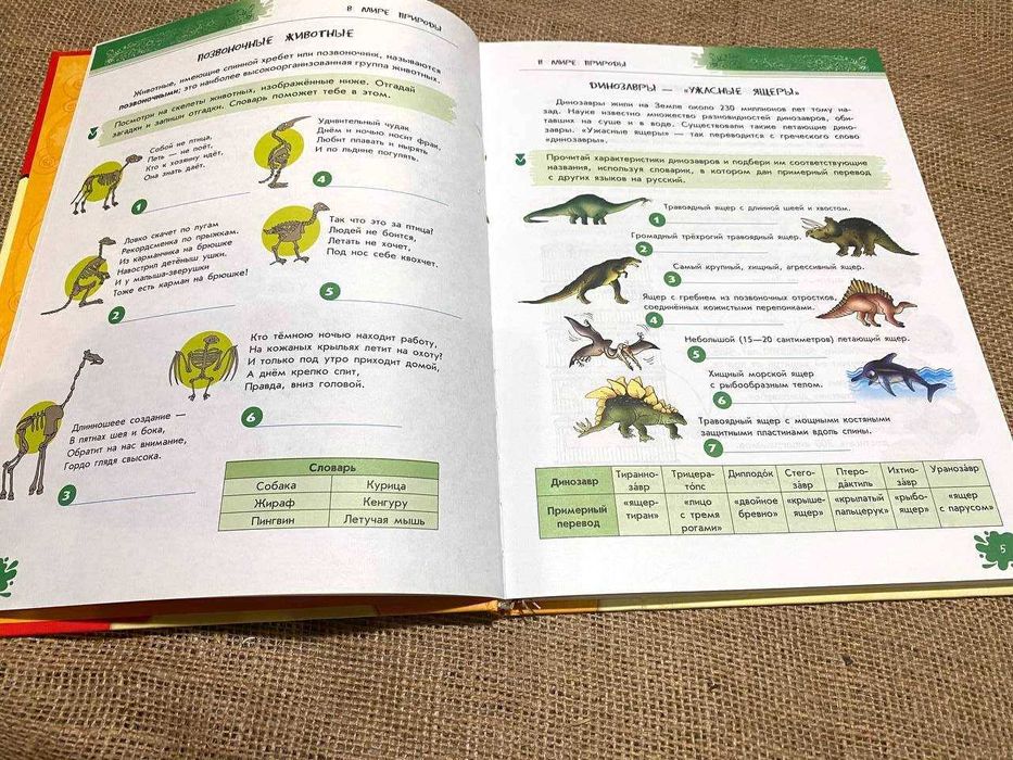 Лучшие развивающие игры и головоломки, 6-12 лет, книга