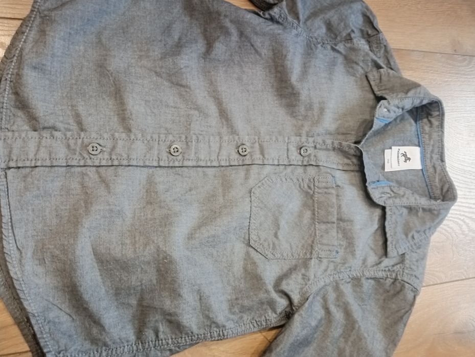 Koszula chłopięca Palomino