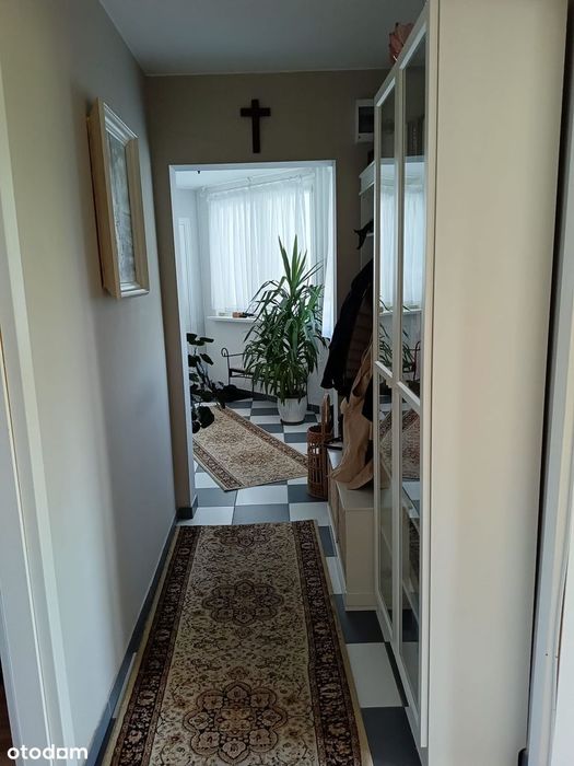 Dwupokojowe mieszkanie z balkonem i działką ogrodową ROD Jubilat - Vista 4