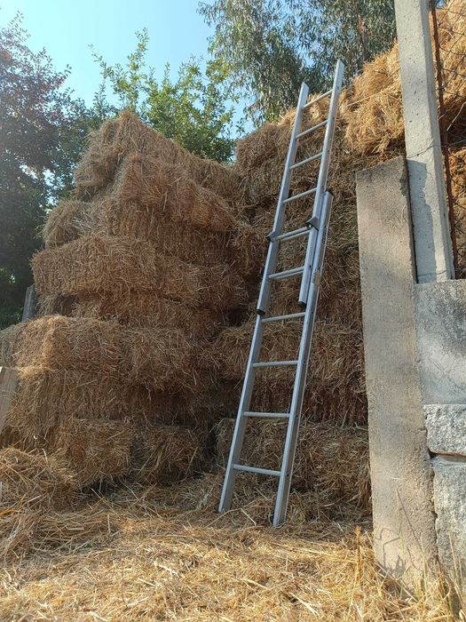 Fardos de Feno 20kg [1,20m]