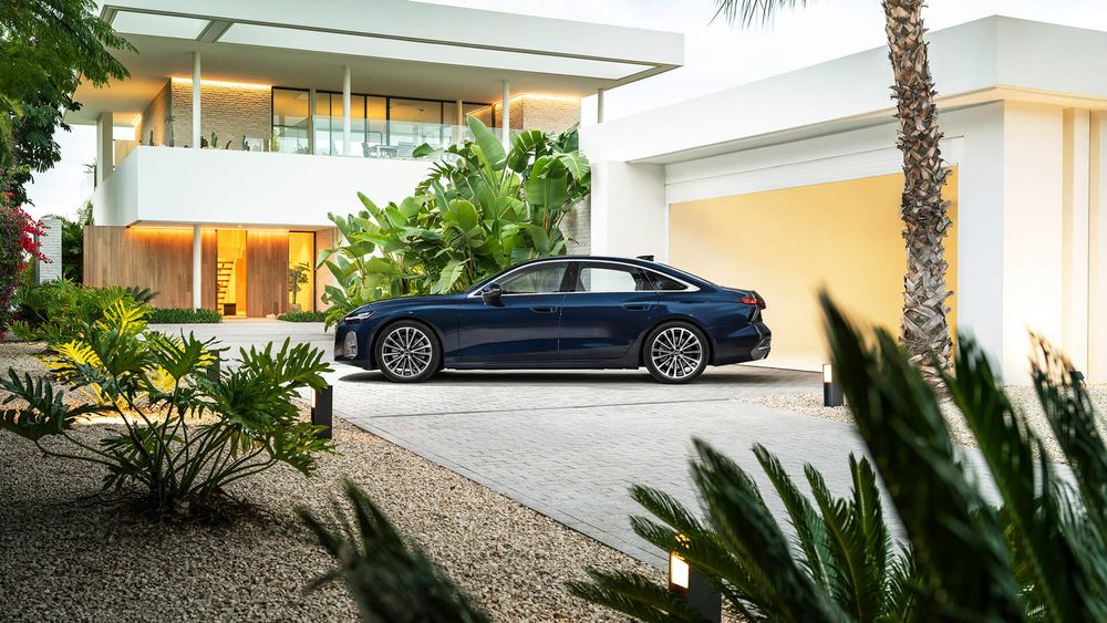 Zdjecie w galerii numer 3