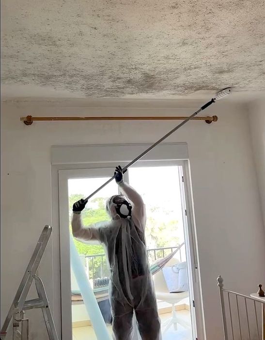 Remoção Profissional de Bolor e Mofo | Professional Mould Removal | Algarve