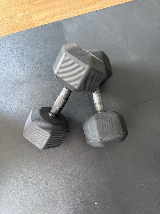 Halteres 20kg Corenght Decathlon